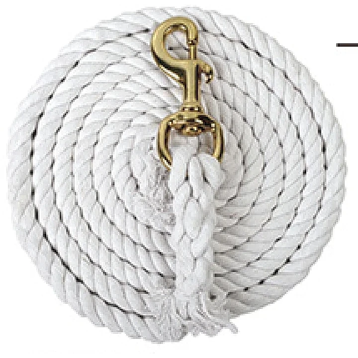 5/8" x 10英尺牽繩，附重型鍛造鐵鉤