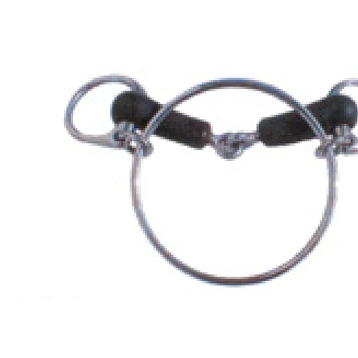 不鏽鋼 Dexter 競賽銜鐵，橡膠包覆口，帶 5 吋大環