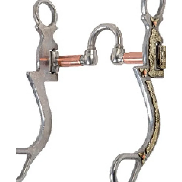 Tom Balding 斯奈夫爾口銜