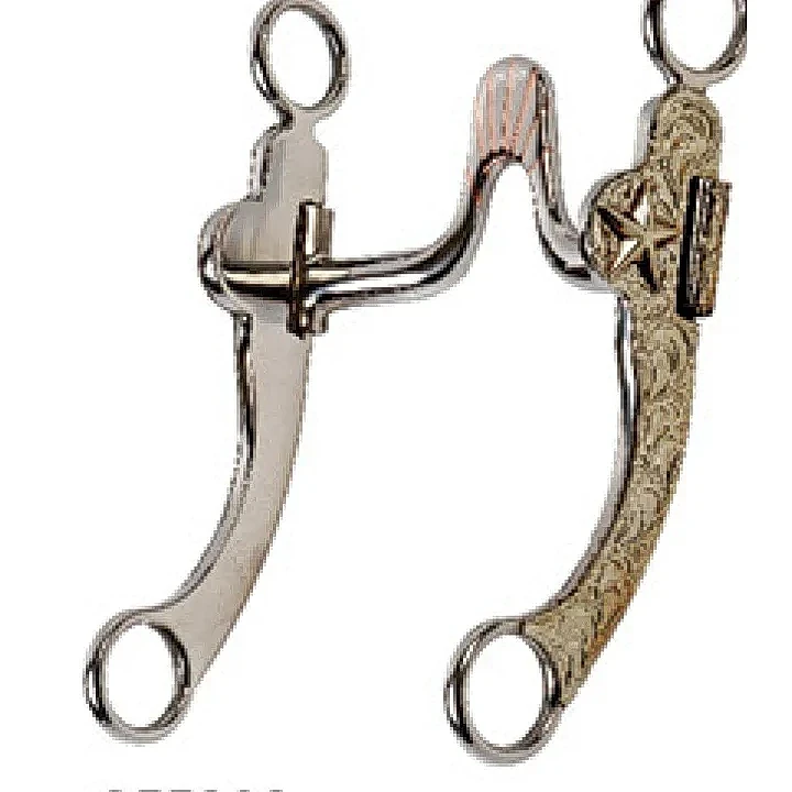 西部馬銜，帶雕花