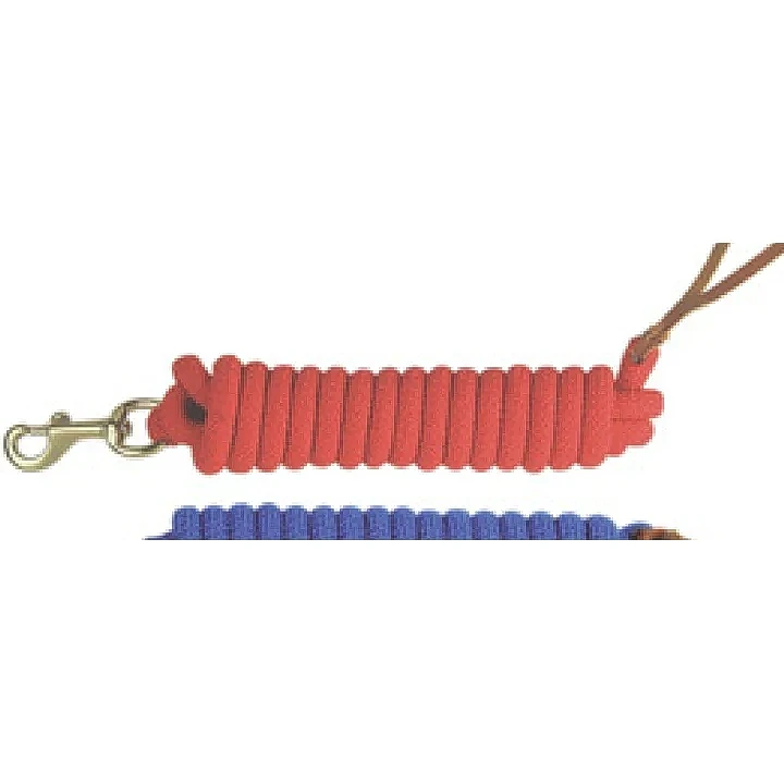 編織聚丙烯繩牽引繩 W/EB MI 彈簧鉤