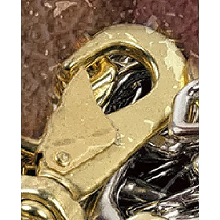 帶彈簧鎖扣的鍛造眼部鉤