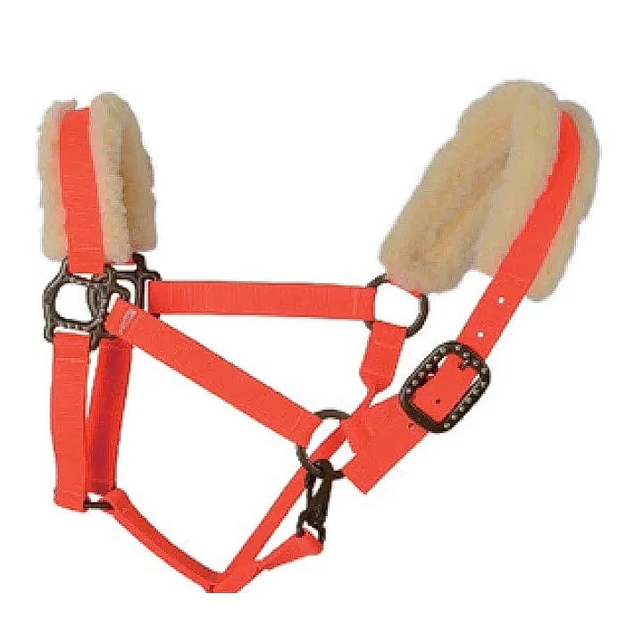 1英吋尼龍雙重與三重縫製（單層厚度2.0mm）可塑性鐵扣，方頭與喉扣，奇異果色飾件