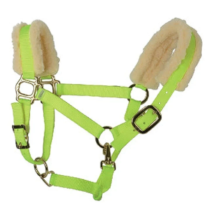 1英吋尼龍雙重與三重縫製（單層厚度2.0mm）可塑性鐵扣，方頭與喉扣，深古銅色飾件