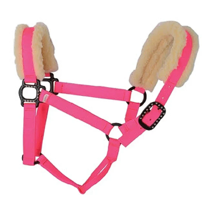 1英吋尼龍雙重與三重縫製（單層厚度2.0mm）可塑性鐵扣與方頭，黑色電鍍飾件