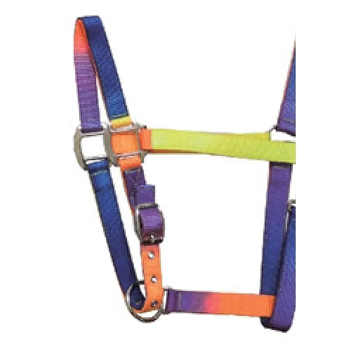 5/8" x 2M 尼龍繩牽繩